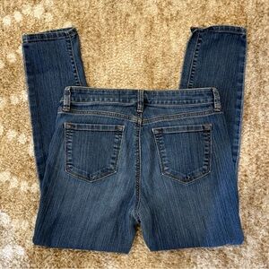 Ann Taylor Loft Stretch Skinny Jeans